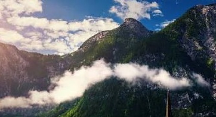 案例精选 - 大象传媒在线入口 - 高口碑品牌合作案例集锦平台